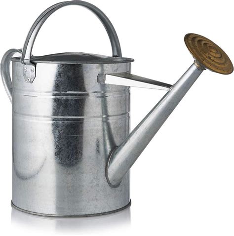 metal watering can for house plants|2 gallon galvanized watering can.